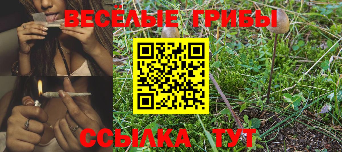 Галлюциногенные грибы Cubensis Аша
