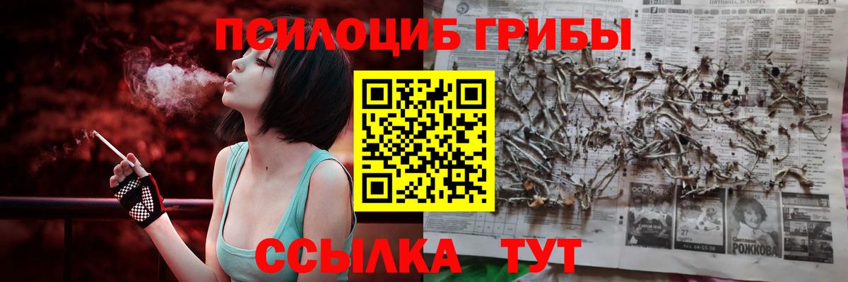 Галлюциногенные грибы прущие грибы  Псилоцибиновые грибы прущие грибы  Вход с VPN  Аша 