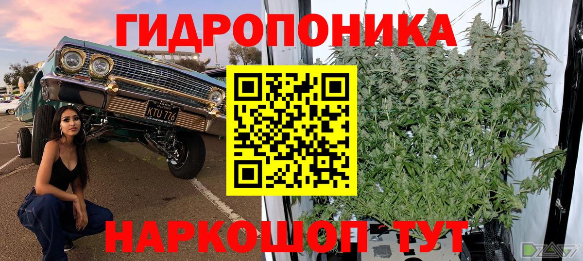 Канабис Amnesia Аша